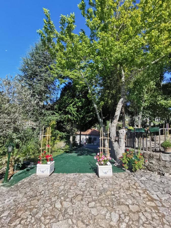 Villa Quinta Da Cartida Santa Marinha do Zêzere Exterior foto